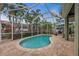 Relaxing kidney-shaped pool with screened enclosure at 7419 Roxye Ln, Sarasota, FL 34240