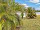 Landscaped backyard with mature palm trees at 407 Stone Briar Dr, Ruskin, FL 33570