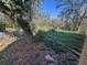 Large backyard with mature trees and lush ground cover at 7027 Hawkins Rd, Sarasota, FL 34241