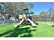 Modern playground with multiple slides and climbing structures at 10922 Subtle Trail Dr, Riverview, FL 33579