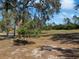 Landscaped backyard with mature trees and grassy area at 2321 E Del Webb Blvd, Sun City Center, FL 33573