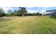 Spacious backyard with grassy area and mature trees at 37337 Orange Row Ln, Dade City, FL 33525