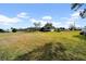 Large backyard, providing ample space for outdoor activities at 37337 Orange Row Ln, Dade City, FL 33525