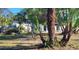 Quaint Florida home with lush landscaping and mature palm trees at 231 W Cornelius Cir, Sarasota, FL 34232