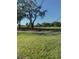 View of the lush green golf course from the property at 3375 Osprey Ln, Port Charlotte, FL 33953