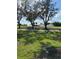 Lush green lawn with trees and active irrigation system at 3375 Osprey Ln, Port Charlotte, FL 33953