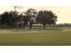 Community baseball field surrounded by fence, grass, and trees at 39567 Dawson Chase Dr, Zephyrhills, FL 33540