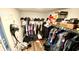 Organized walk-in closet with shelving and ample storage space at 39567 Dawson Chase Dr, Zephyrhills, FL 33540