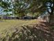 View of the backyard with mature shade trees at 3923 W Bay View Ave, Tampa, FL 33611