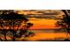 Breathtaking sunset view over the water framed by silhouetted trees at 1813 Mariner Dr # 152, Tarpon Springs, FL 34689