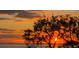 Picturesque sunset view featuring silhouettes of trees against a colorful sky at 1813 Mariner Dr # 152, Tarpon Springs, FL 34689