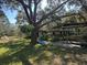 Large backyard featuring mature trees, covered patio, and room for outdoor activities at 7306 Jones Rd, Odessa, FL 33556