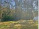 Grassy backyard with view of trees and a white fence on a sunny day at 13507 Willow Bluestar Loop, Riverview, FL 33579