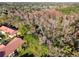 Aerial view showing the proximity of residential buildings to a heavily wooded area at 1801 E Lake Rd # 3A, Palm Harbor, FL 34685