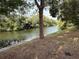 Peaceful pond view surrounded by mature trees and lush vegetation at 4325 Newbury Dr, New Port Richey, FL 34652