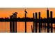 Beautiful sunset scene over the water, with silhouetted pilings and birds enhancing the tranquil setting at 1280 Windy Bay Shl, Tarpon Springs, FL 34689