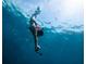 Person snorkeling in the ocean at 15057 Missouri Skylark Rd, Weeki Wachee, FL 34614