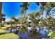 Picturesque backyard pond surrounded by lush landscaping and mature trees, reflecting the clear blue sky at 1206 Laurel Pines Cir, Nokomis, FL 34275