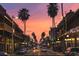 Evening view down a palm tree-lined street, showing the vibrant nightlife and architecture at 2217 Thrace St, Tampa, FL 33605