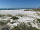 White sand beach with ocean and beach grass at 3060 Grand Bay Blvd # 174, Longboat Key, FL 34228