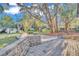 Spacious backyard with patio, landscaping, and shed at 407 Belvedere Oval, Temple Terrace, FL 33617