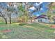 Spacious backyard with lush lawn and mature trees at 407 Belvedere Oval, Temple Terrace, FL 33617