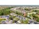 Aerial view of home and community at 8609 Fiddleleaf Ct, Tampa, FL 33647