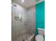 Modern bathroom featuring a tiled shower with glass door, and a sleek rainfall shower head at 8600 W Knights Griffin Rd, Plant City, FL 33565