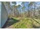 Backyard with mature trees and a small hill at 13107 Texel Ave, New Port Richey, FL 34654