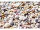 A collection of various seashells on the beach at 15810 2Nd E St, Redington Beach, FL 33708