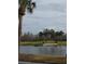 The Groves community view with lake and palm trees at 8049 Sanguinelli Rd, Land O Lakes, FL 34637