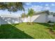 Backyard with grassy area, white fence, and a young tree at 1939 W Arch St, Tampa, FL 33607