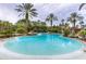 Stunning resort-style pool with palm trees and shaded seating areas at 7938 Hampton Lake Dr, Tampa, FL 33647