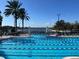 Community pool with lap lanes and a scenic waterfront view at 5239 Admiral Pointe Dr, Apollo Beach, FL 33572