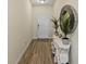 Entryway with wood-look floors and decorative accents at 11818 Tetrafin Dr, Riverview, FL 33579