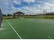 Green, multi-use sports court with a covered seating area at 11818 Tetrafin Dr, Riverview, FL 33579