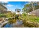 Serene backyard pond with lush landscaping at 9527 Pebble Glen Ave, Tampa, FL 33647