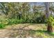 Spacious backyard with lush landscaping and a grassy area at 8119 N Dakota, Tampa, FL 33604