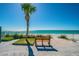 Relaxing beach view with palm trees and inviting sandy shore at 221 Howard Dr, Belleair Beach, FL 33786