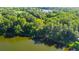 Aerial view showing home's waterfront location and lush surroundings at 17210 Orangewood Dr, Lutz, FL 33548