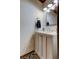 Simple bathroom with single vanity, framed mirror, and dark flooring at 17210 Orangewood Dr, Lutz, FL 33548