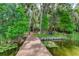 Wooden dock extending over calm lake with lily pads at 17210 Orangewood Dr, Lutz, FL 33548