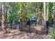 Private backyard with tall trees surrounding the home at 17210 Orangewood Dr, Lutz, FL 33548