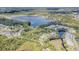 Aerial view of community near lake at 1817 Hammocks Ave # 1817, Lutz, FL 33549