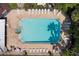 Community pool with lounge chairs at 568 Shoreham Ne Ct, St Petersburg, FL 33716