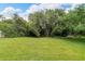 Spacious backyard with lush green grass and mature trees at 11612 Mansfield Point Dr, Riverview, FL 33569