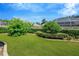 Landscaped backyard with a grassy area and hedges at 806 Red Ash Ct, Seffner, FL 33584