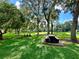 Relaxing park with picnic tables and lush greenery at 806 Red Ash Ct, Seffner, FL 33584