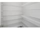 Walk-in pantry with wire shelving at 10317 Fieldstone Myrtle Way, San Antonio, FL 33576