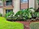 Landscaped grounds with tropical plants and grass at 3035 Countryside Blvd # 14B, Clearwater, FL 33761
